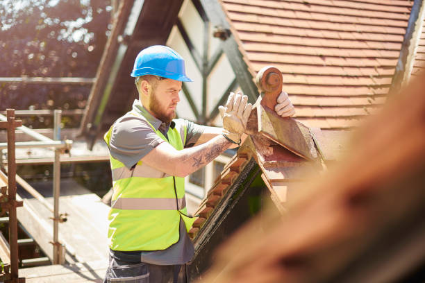 Best Roof Leak Repair  in Terrell, TX