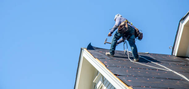 Best Local Roofing Companies  in Terrell, TX